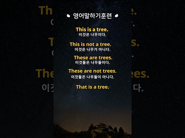 [영어말하기훈련]#13.이거모르면 영어로 말이 안나와요! ㅣ왕초보 기초영어회화