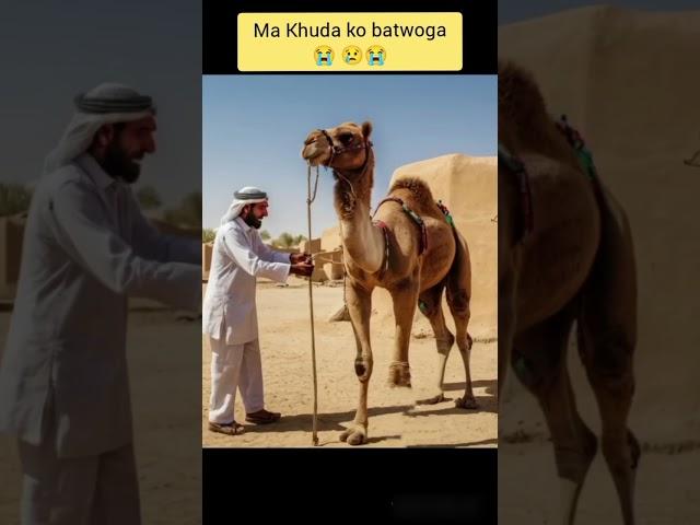 Ma Khuda ko batwoga | Camel  #shorts #camel #ai #animals #camelcart