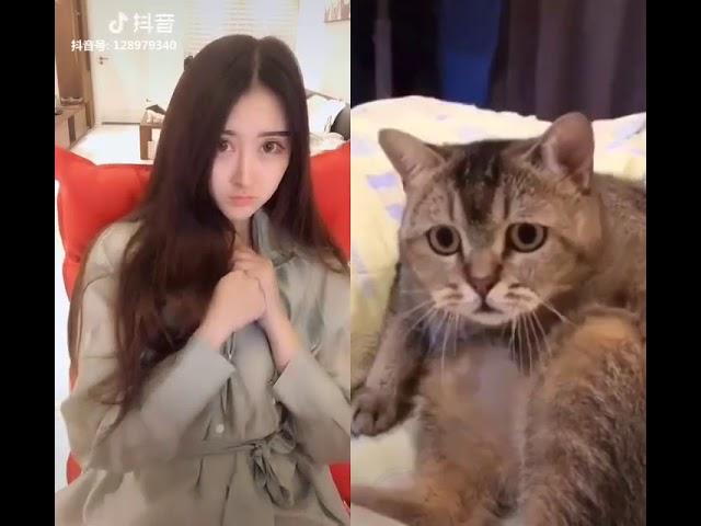 Tiktok kucing nakaLLL liat cewek buka baju!!!!!