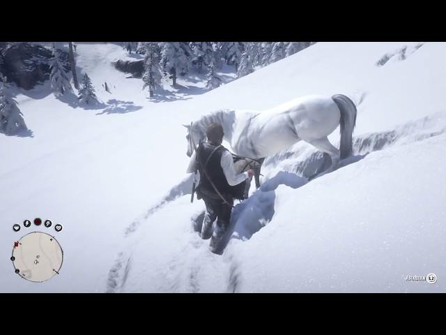 Catching the fastest horse - Arabian - Red Dead Redemption 2 Diary