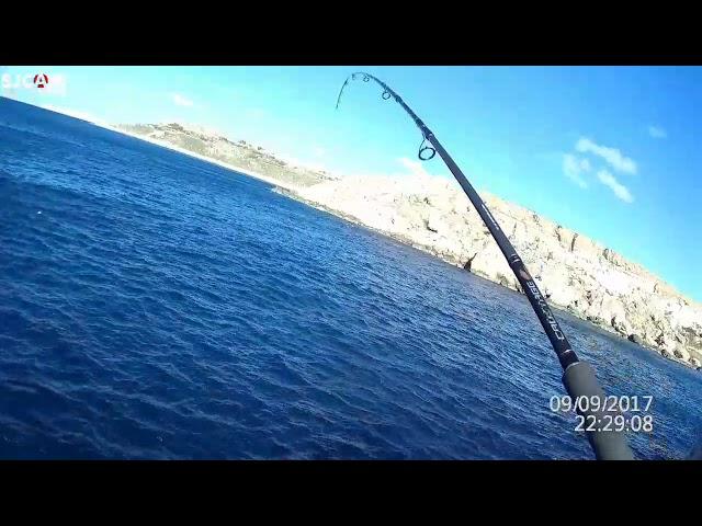 Malta Shore  Jigging 2019