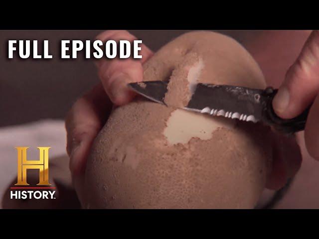 Modern Marvels: The Incredible Potato (S15, E4) | Full Episode