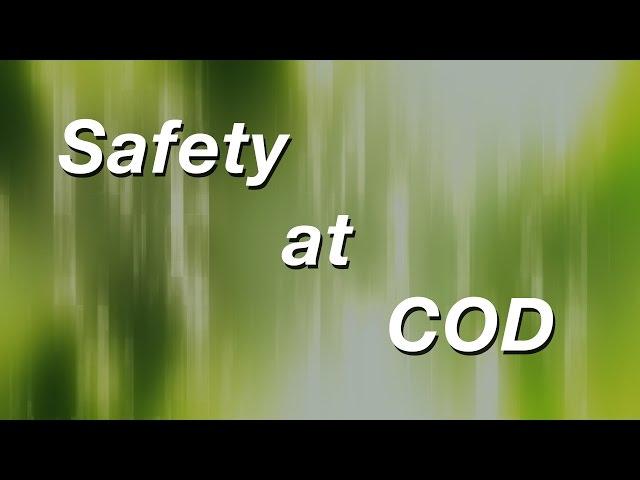 College of DuPage: Safety at COD