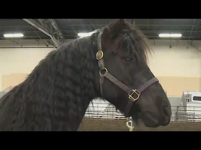 Washington State Horse Show Expo