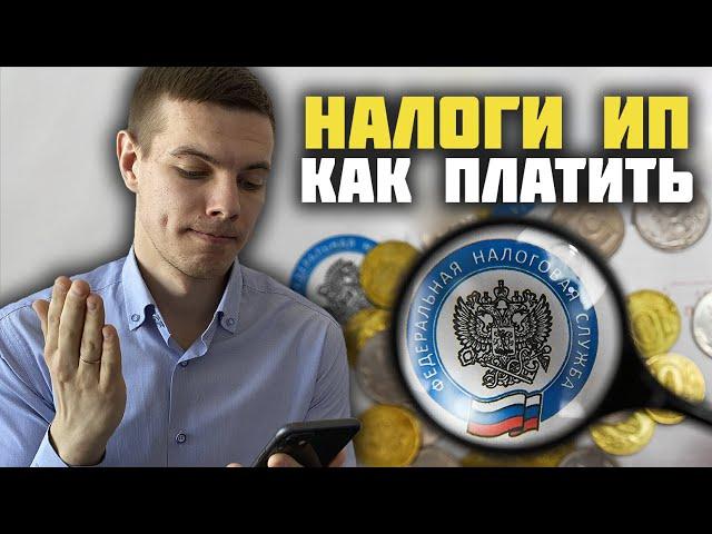 Какие налоги платит ИП: УСН, Пенсионные страховые взносы