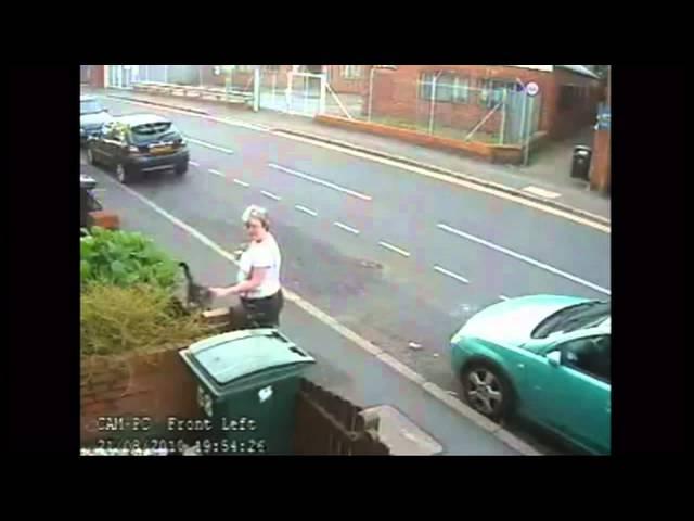 Woman throws cat into wheelie bin