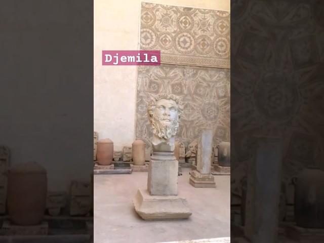 Musée de #DJEMILA  - visite
