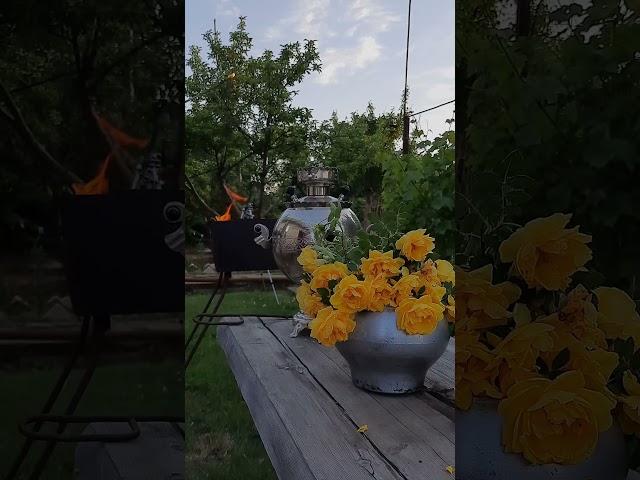 Добрый вечер! А если недобрый, удобряйте!