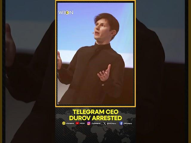 Telegram Founder - CEO Pavel Durov arrested in France | Breaking News | WION Shorts