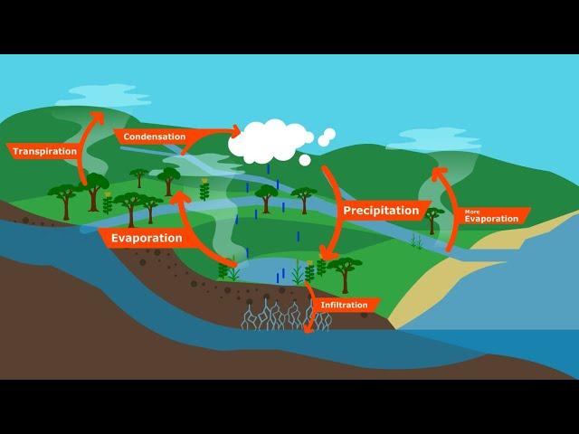 Climate Change: The Water Paradigm