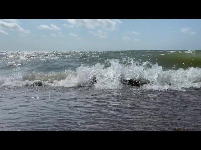 Океан, Чайки, Парусник, Все Самое Интересное и Красивое Осенью/ Ocean, Seagulls, Most Beautiful.