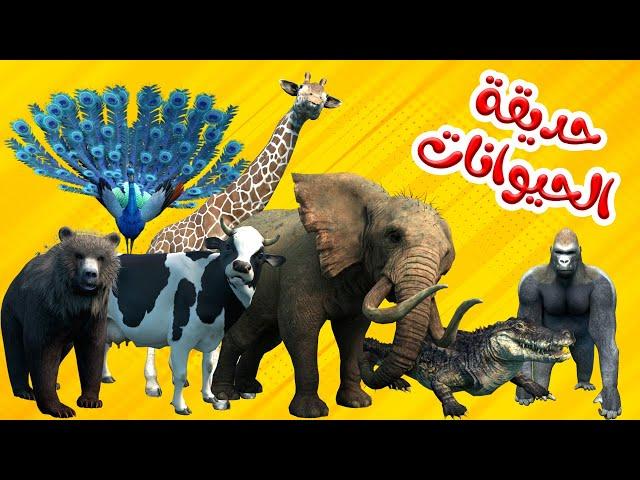 اغنية حديقة الحيوانات | اغاني اطفال بون بون