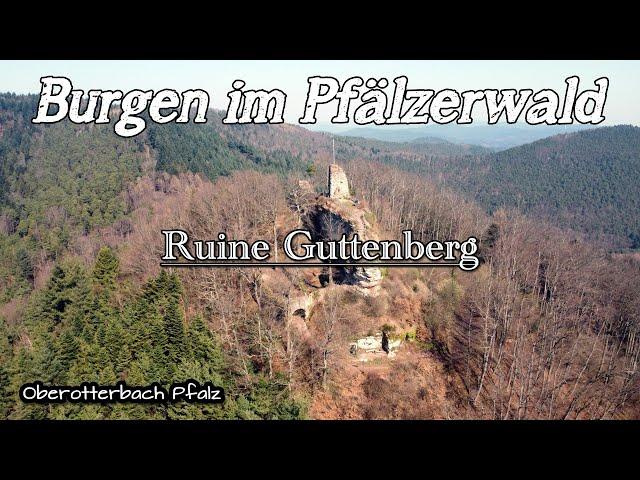 Ruine Guttenberg | Wandern | Pfälzer Wald | Böllenbornn | DE