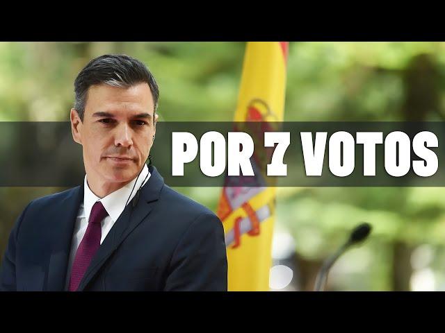 LA CANCIÓN DEL CUL0 ROT0 | Por 7 votos... | La Abeja Maya (Parodia) | Pedro Sánchez