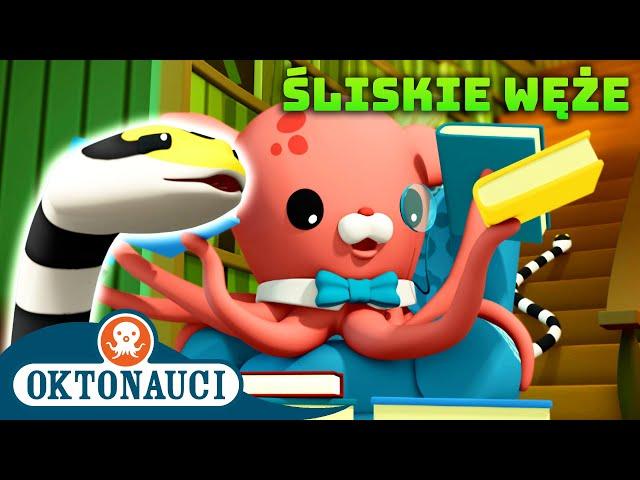 Oktonauci - ️ Śliskie węże  | Dzień Węża | Kompilacja | Całe odcinki