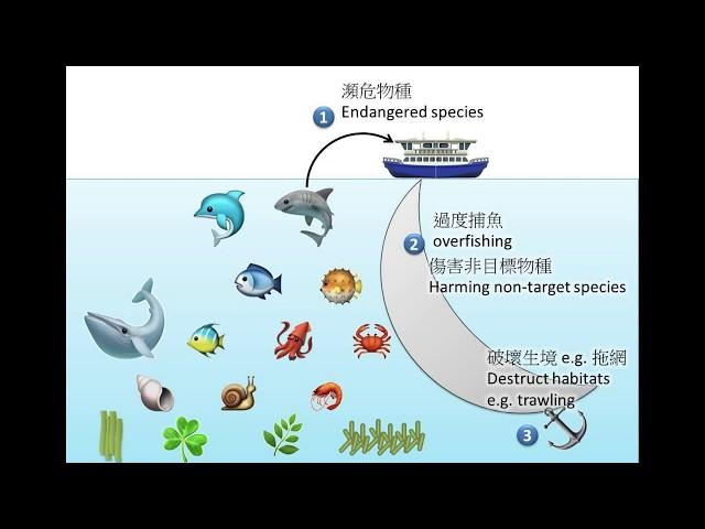 DSE Bio 生態平衡與保育 Ecological balance and conservation-Ecology 生態學 15