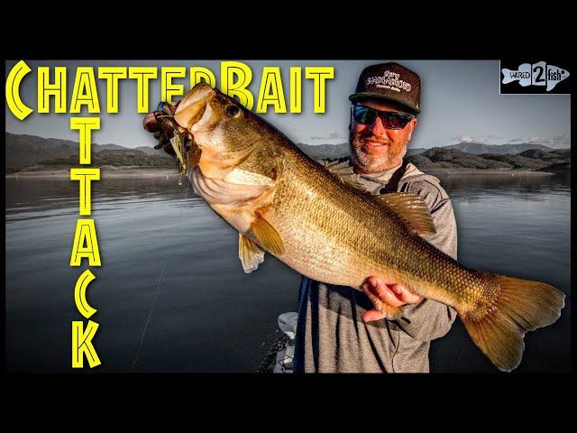 3 Reasons ChatterBaits are a Dominant Bass Fishing Lure