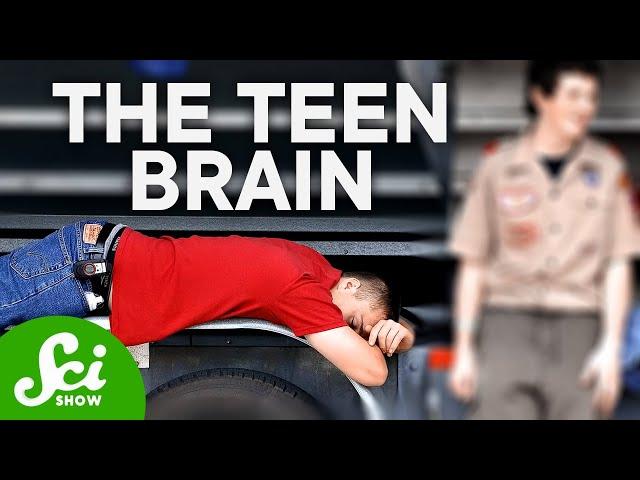 How Teenagers' Brains Are Actually Wired Differently