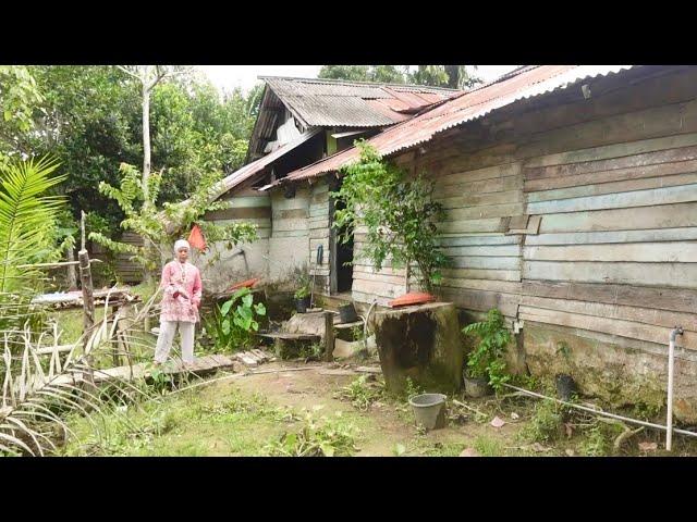 Suasana kampung transmigrasi di Kalimantan