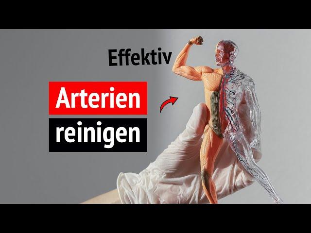  Arterien reinigen: Diese 5 Substanzen raümen auf