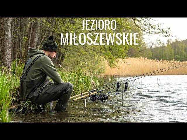 WIELKA PRZEGRANA NA ZAWODACH KARPIOWYCH / JEZIORO MIŁOSZEWSKIE