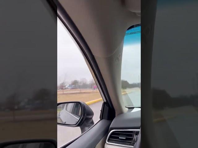 Falcon Hunts From a Car