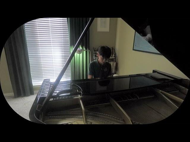 Evan's Audition Video ~ Theme from the Movie "La Califfa"