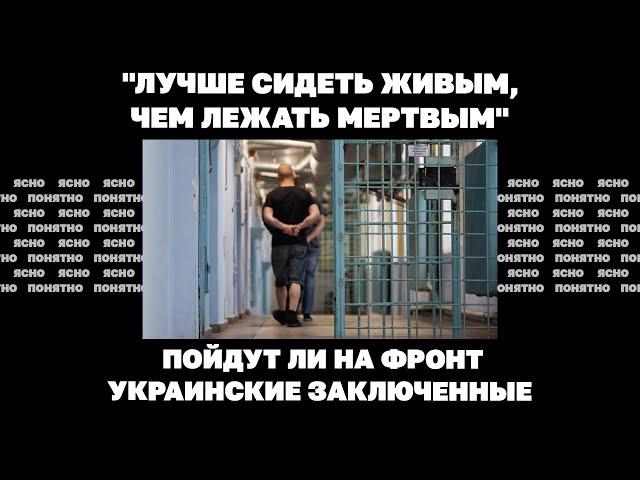 "Лучше сидеть живым, чем лежать мертвым". Пойдут ли на фронт украинские заключенные