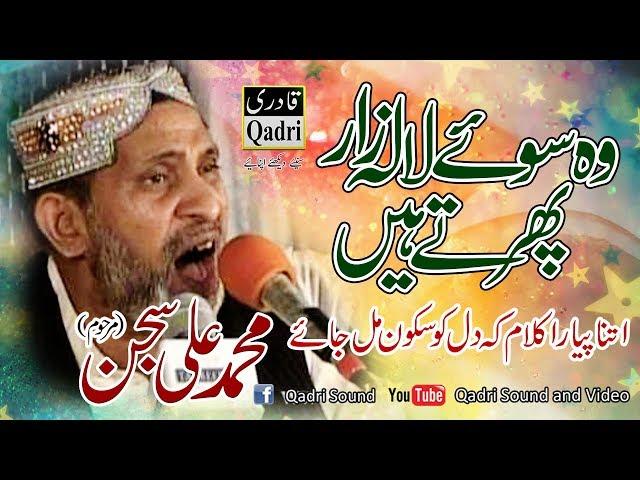 Muhammad Ali Sajjan by Wo soye lala zar phirte hain||Old is Gold||G-10 Markaz Mehfil-e-naat 2012||