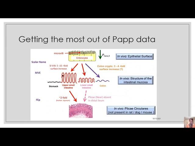 Drug Permeability: Best Practices for BCS-based Biowaivers (December 6, 2021)