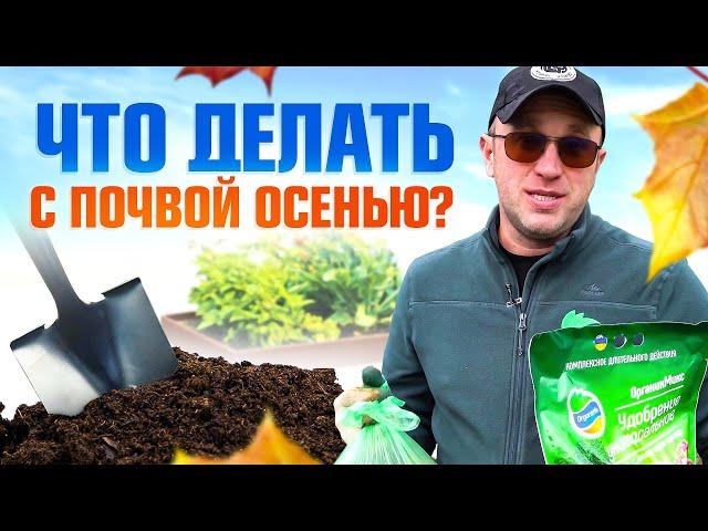 Что нужно делать с почвой после уборки томатов осенью? / Илья Макаров