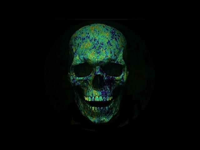 universe skull