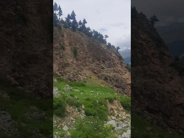 Beautiful Meadows of Kalam Swat Valley | KPK Pakistan | #Shorts