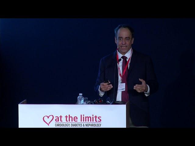 Professor Licio Velloso - The central control of obesity