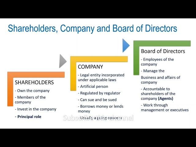 What is the relationship between Shareholders and Board of Directors