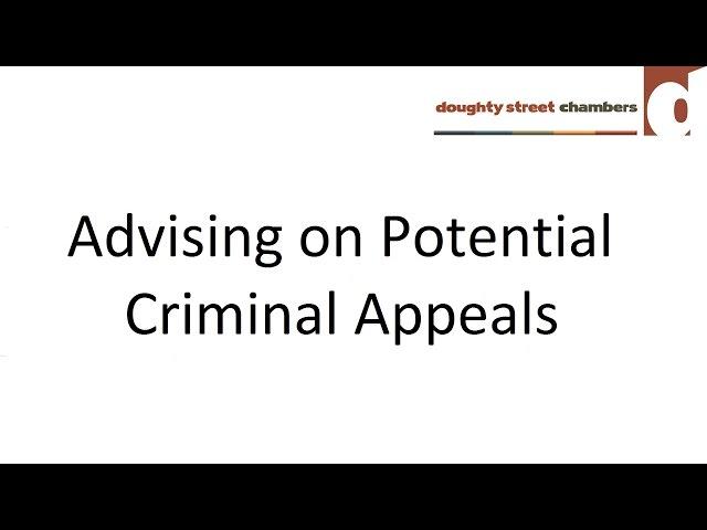 Advising on Potential Criminal Appeals