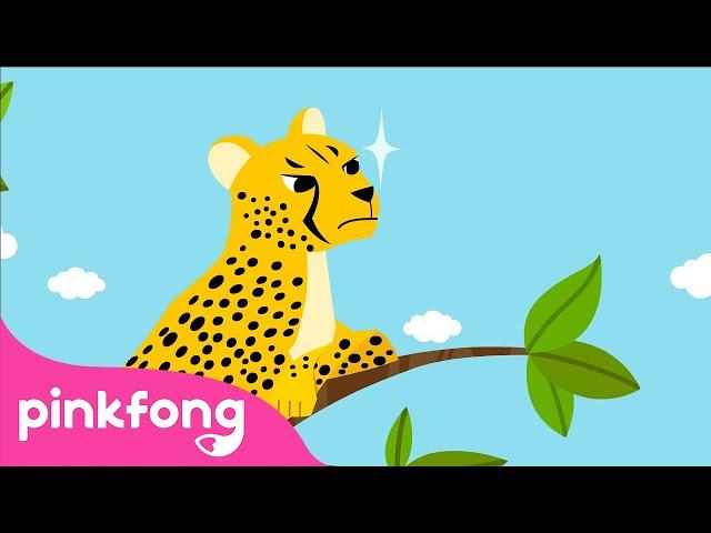 Le Guépard | Chansons d'Animaux | Pinkfong Baby Shark en français ! Chansons pour Enfants