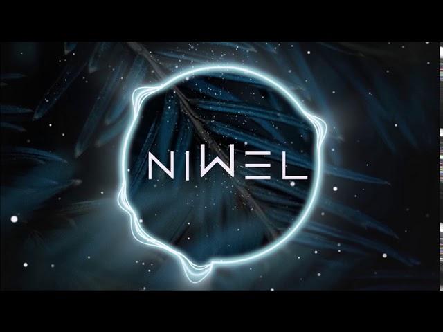 Niwel - Fake Life