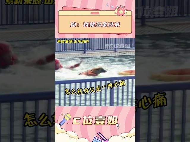 狗：我都多余過來#救援犬 #消防員 #救援演練