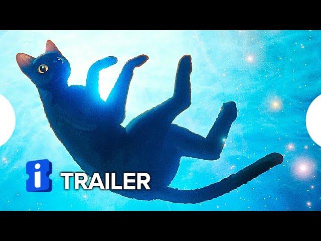 FLOW | Trailer