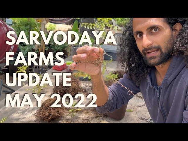 May 2022 Sarvodaya Farms & Nursery Update