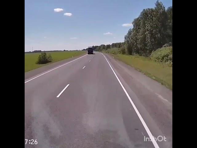 шустрик