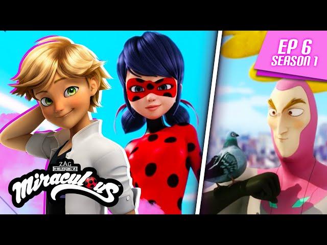 MIRACULOUS |  MR. PIGEON  | FULL EPISODE ▶️ Season 1 Episode 6