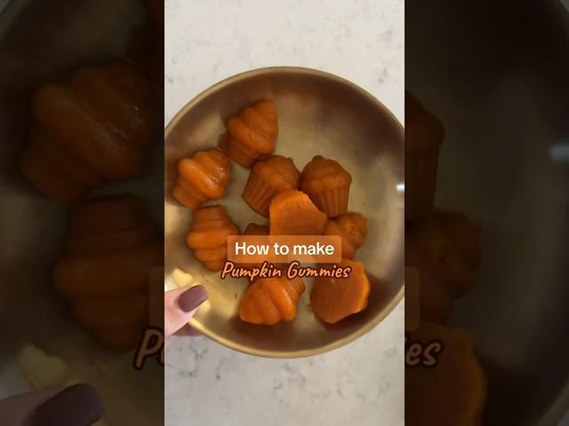 Pumpkin gummy dog treats recipe