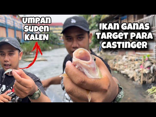 MANCING HAMPALA DI DEKAT PEMUKIMAN WARGA ‼️ IKANNYA GALAK GALAK