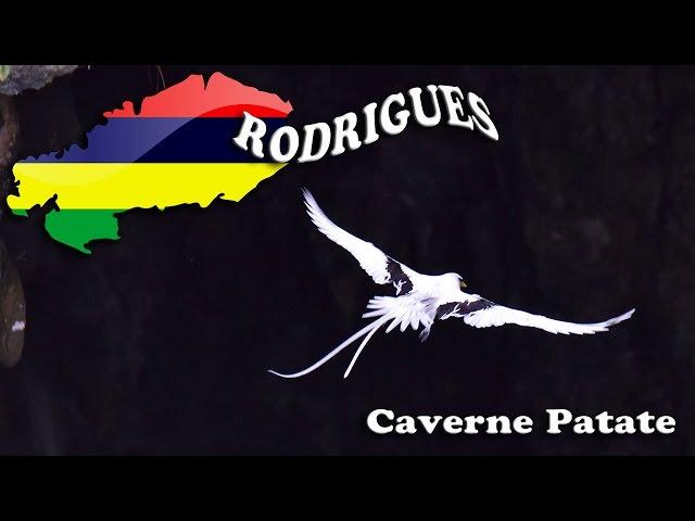 RODRIGUES 6 : Caverne Patate - Lagon du Sud