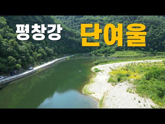 평창강 구간 중 가장 쏘가리가 많이 나오는 곳  단여울#평창강 상황#쏘가리 낚시