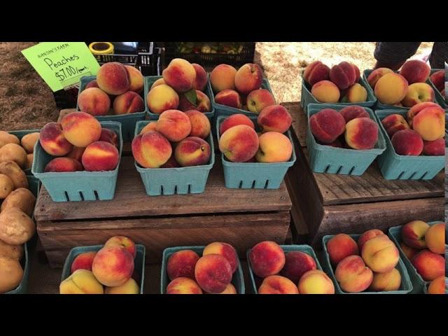 2020 Framingham Farmers Market is Open!