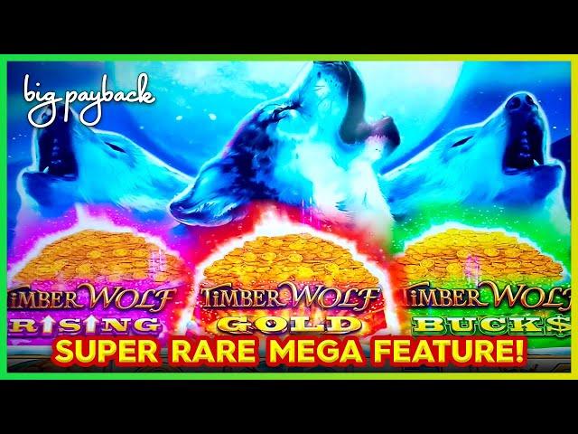 All 3 Pots → RARE MEGA FEATURE! Timber Wolf Triple Power Slots - HOT NEW GAME!