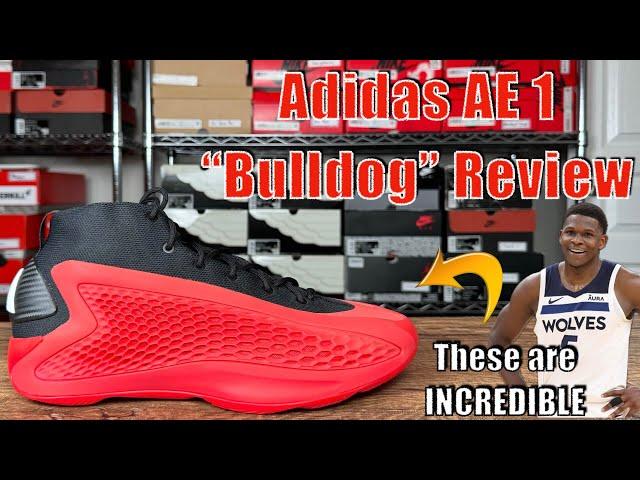 Adidas AE 1 "Bulldogs" Review - Best One Yet!!